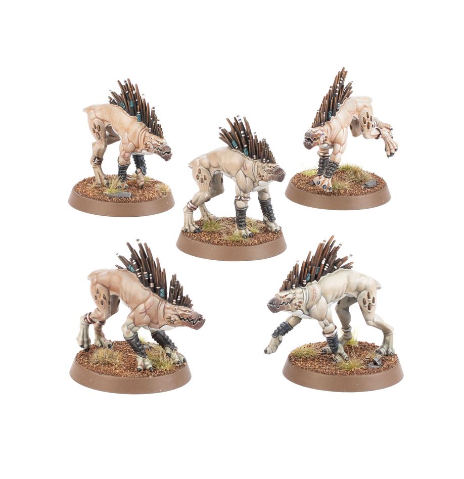 T'au Army Set- Kroot Hounds