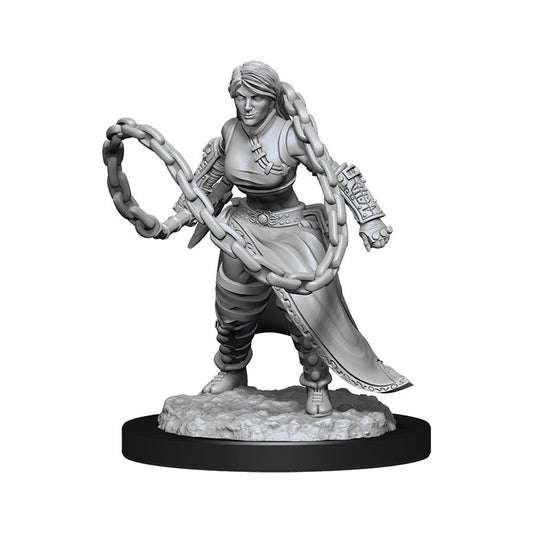 Nolzur's- Human female Monk Wave 14