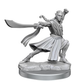 D&D Frameworks: Elf Monk